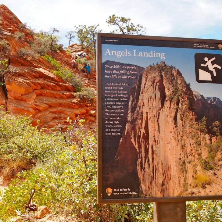 Angel’s Landing Hike Zion National Park: All You Need to Know