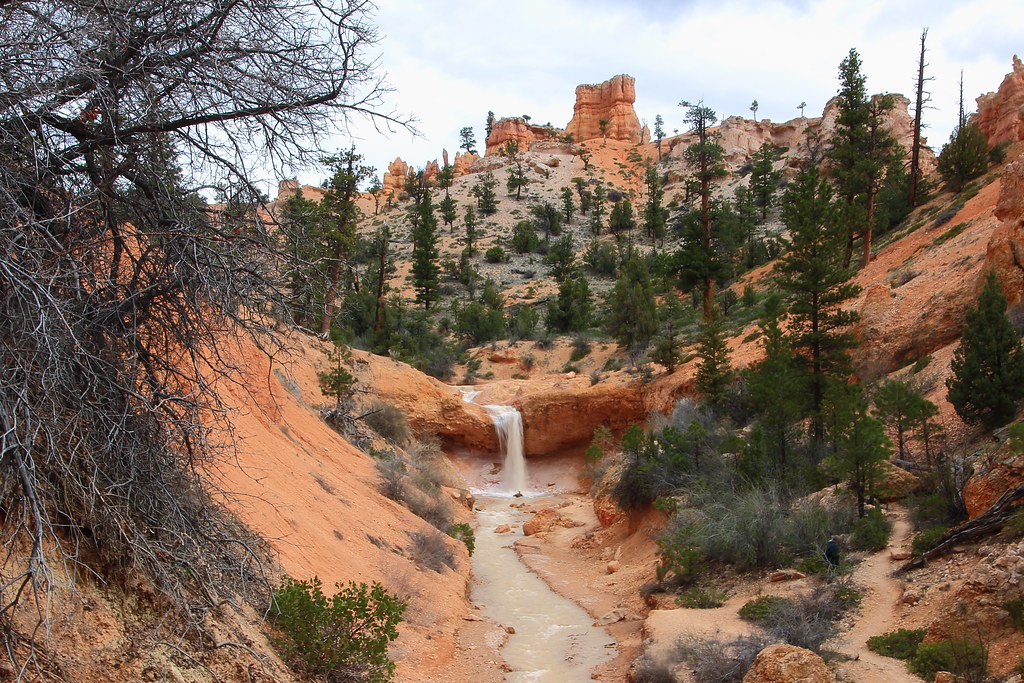 Water Canyon Trail