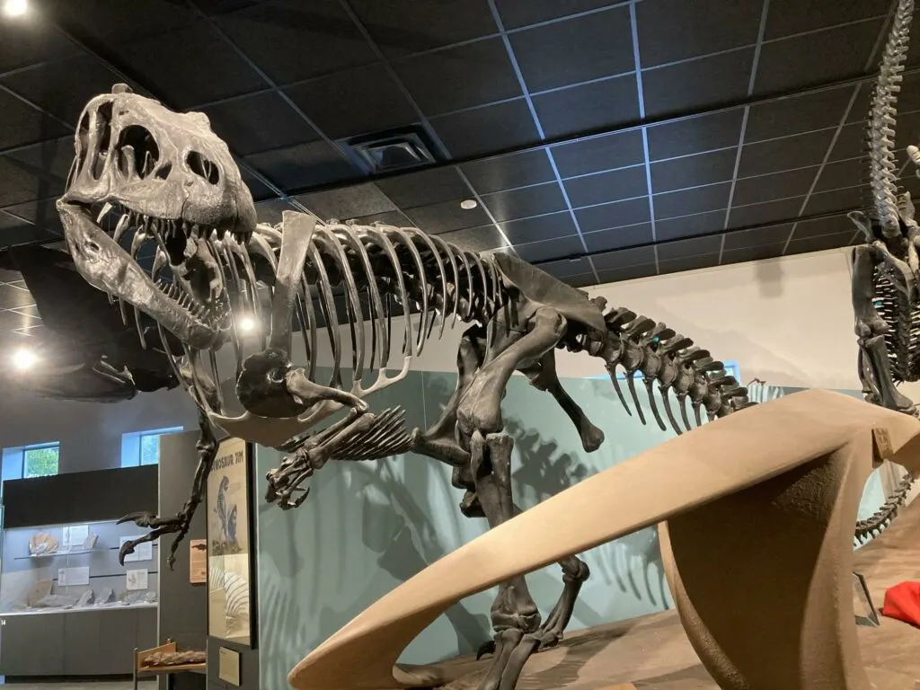 BYU Museum of Paleontology