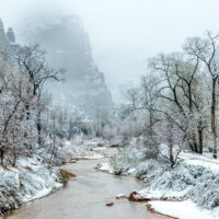 Snow Storm-zion-national-park-in-winter