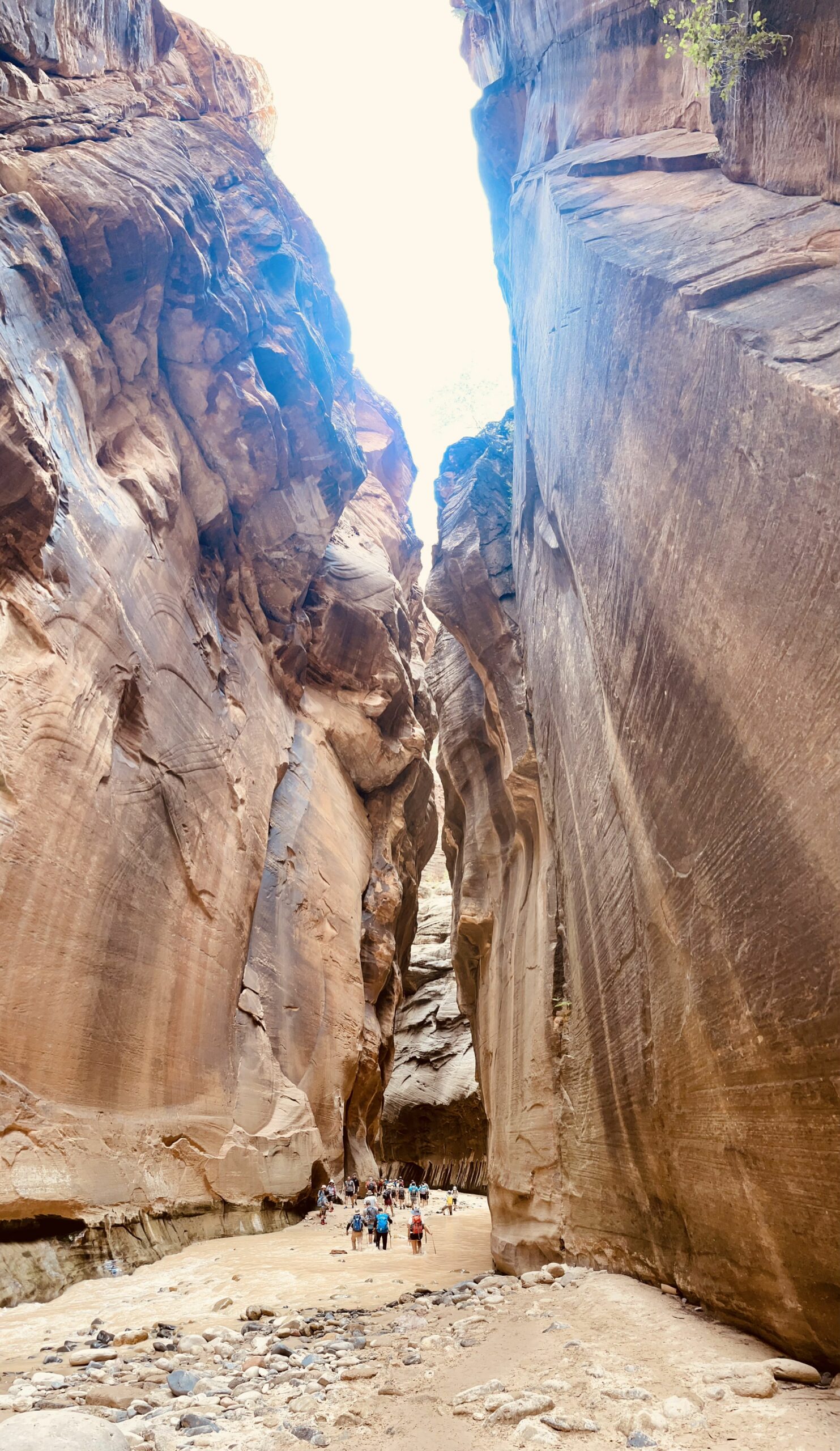 2 days in zion - the narrows