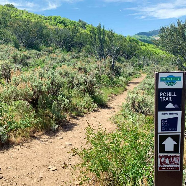 14 Best Park City Hikes that are Super Fun!