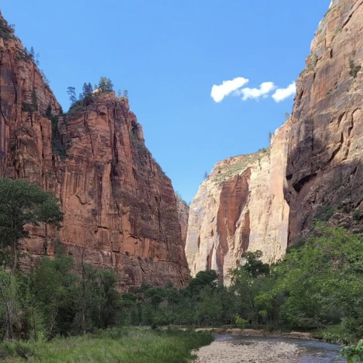 11 Best Easy Hikes in Zion National Park (Great For Families)